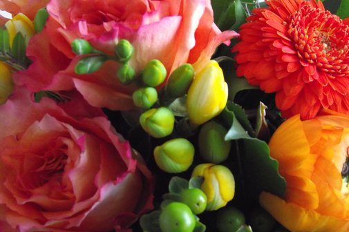 Blumen Blumen
